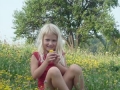 Rožica med rožicami