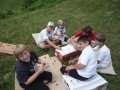 Playing cards in nature