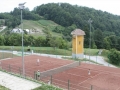 Tenis