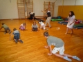 We are showing animals