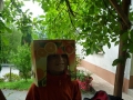 Orange tree 2.