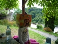 Orange tree 5.