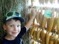 Kako se reèe CORN po slovensko?