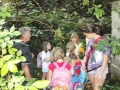 ...we learn about underground stream..