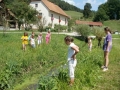 Pridno smo jim sledili...