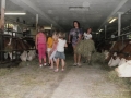 It's time for cows dinner;))