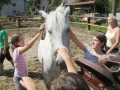 And we went ride a horse!