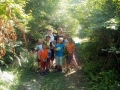 All together in the woods.
