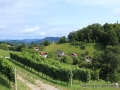 Èudovita okolica zagotavlja, da se bomo vsi imeli super:)