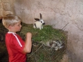 It's a bunny.