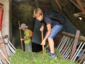 Najprej je treba spraviti nakošeno travo do živali in oèistiti voz