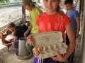 if we feed chicken well...