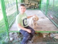 I love this puppy