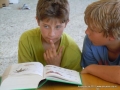 How do you say spider in German?