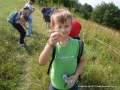 Now we are collecting herbs for our tea.