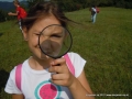 When I search for flowers I use a magnifying glass...