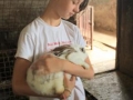 We pet bunnies!