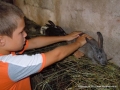 I love to pet bunnies as well.