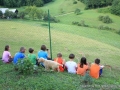 On the deer farm.