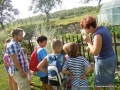 We are going to pick some herbs!