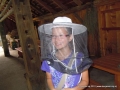 Bees are dangerous!