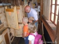 We can see some bees apartments - hives!