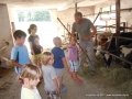 We will feed farm animals!