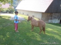 You have to have a firm grip so the pony does not get away.