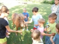 Feeding the pony...