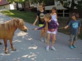 Come on pony, you have to go to your stable.