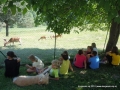 Watching the deer. 