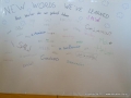new words we've learned
