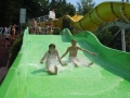 Slides are awesome!