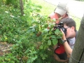 And the older ones will explore their cameras ...