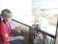 We visited the farm.