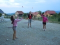 Watch them fly