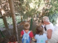 We went to see the deer.