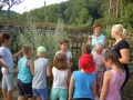 Learning about herbs