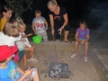 Še malo pa bomo jedli krompirèek!