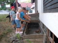 Here chick, chick, chick...