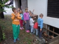 Feeding the chickens.