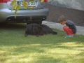 Some are crazy about the dog.