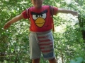 I'm the king of the wood :)