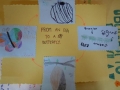 From an egg to a butterfly