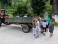 Vožnja s traktorjem