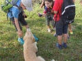 Walking with friends