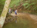 Playing by the stream