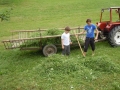 Put all of the grass on the trailor.