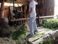 This is what farmers do.