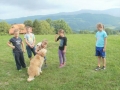 A dog came to visit us during our play.